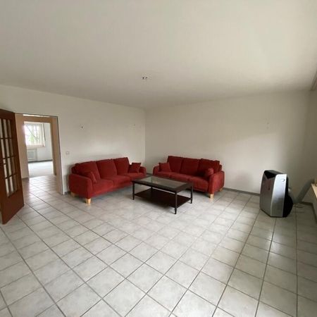 Ihr neues Zuhause im Königreich Stiepel