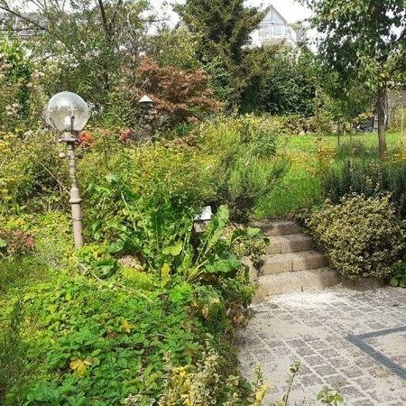 Schöne 2-Zimmer-Wohnung in Bochum-Stiepel am Golfplatz