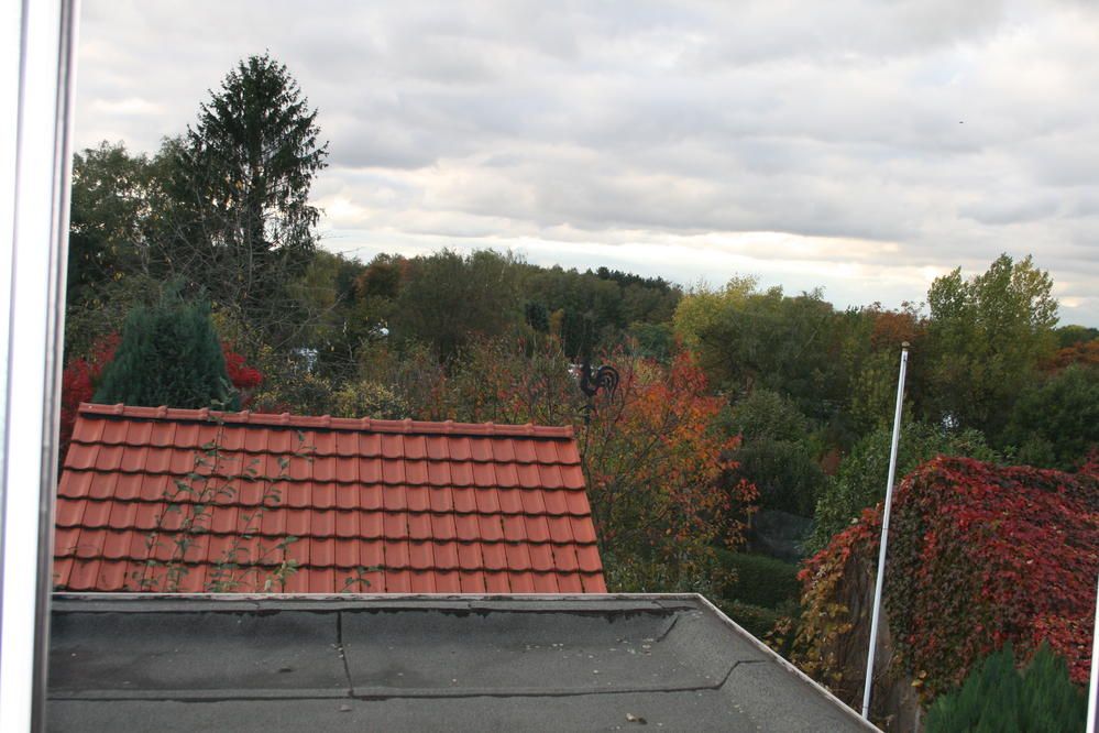 Ausblick auf einen Wald
