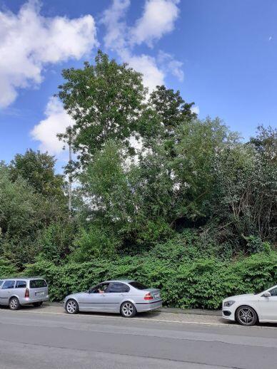 Gut geschnittene 2-Zimmer Wohnung in Bochum-Hofstede